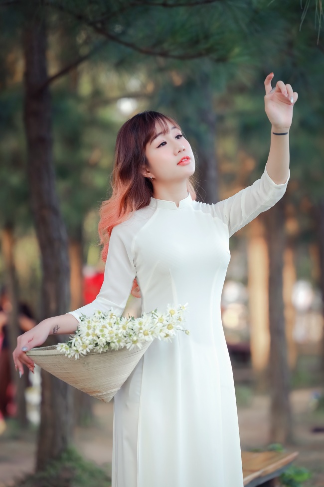 第七层梦境